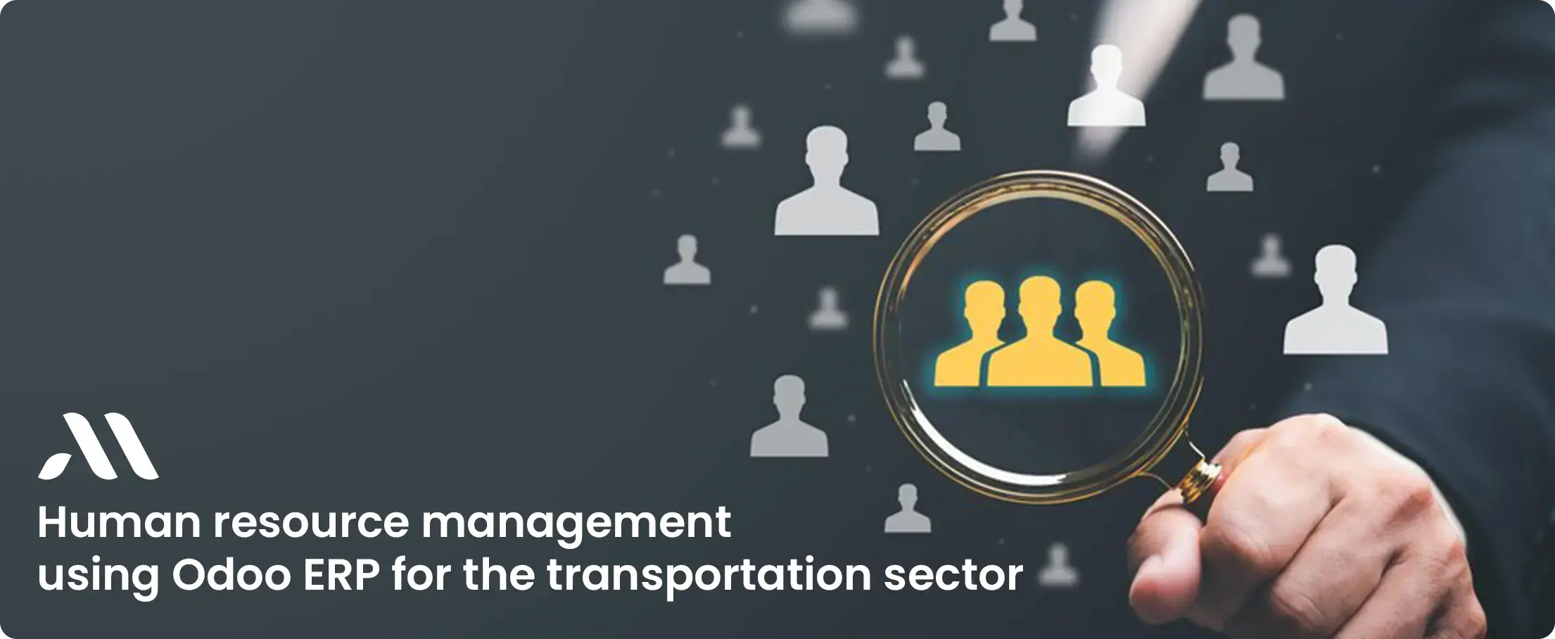 Human resource management using Odoo ERP for the transportation sector
